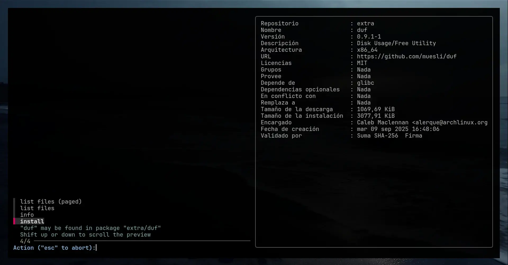 Autocompletions screen zsh shell