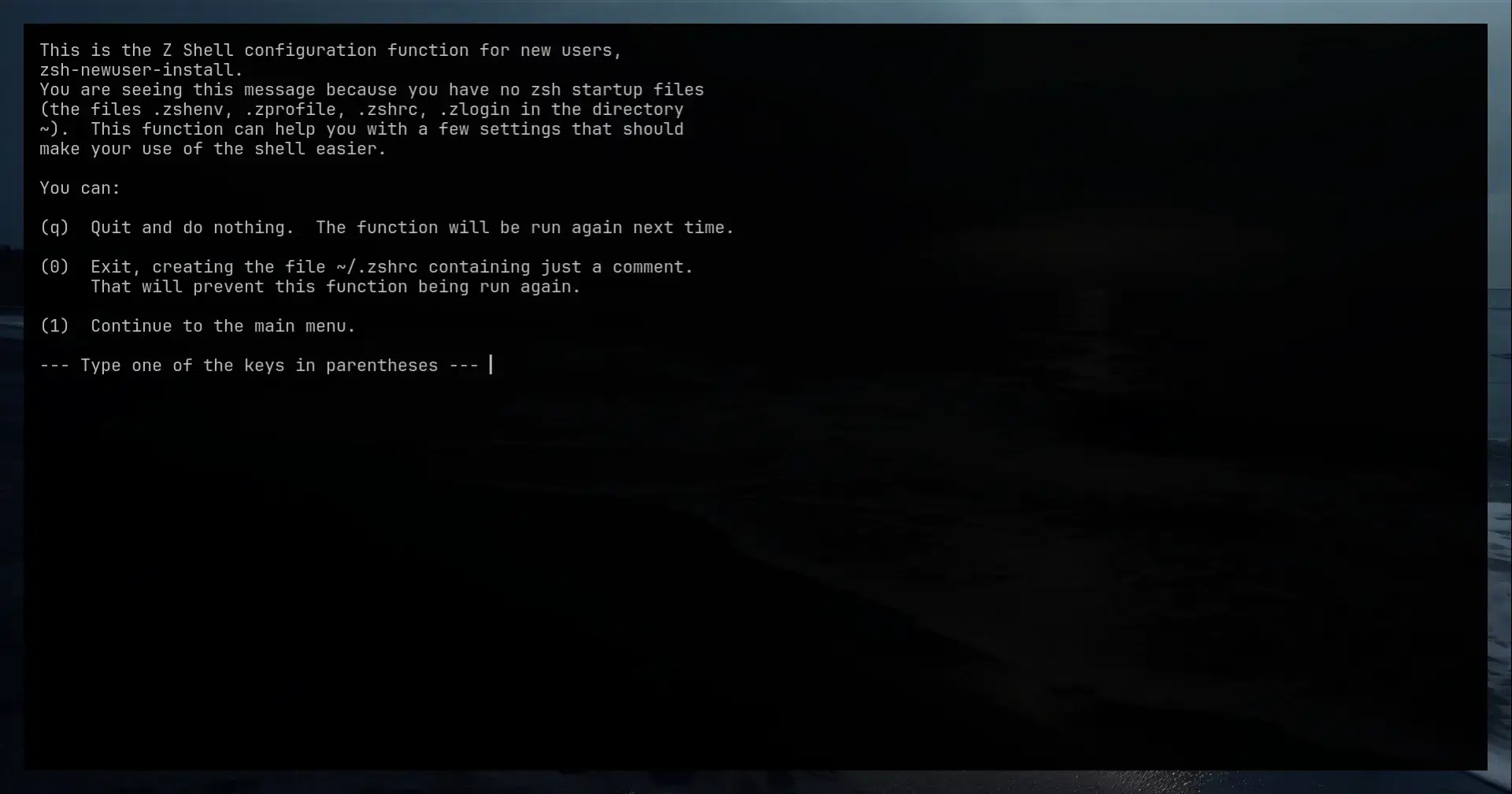 First zsh shell startup