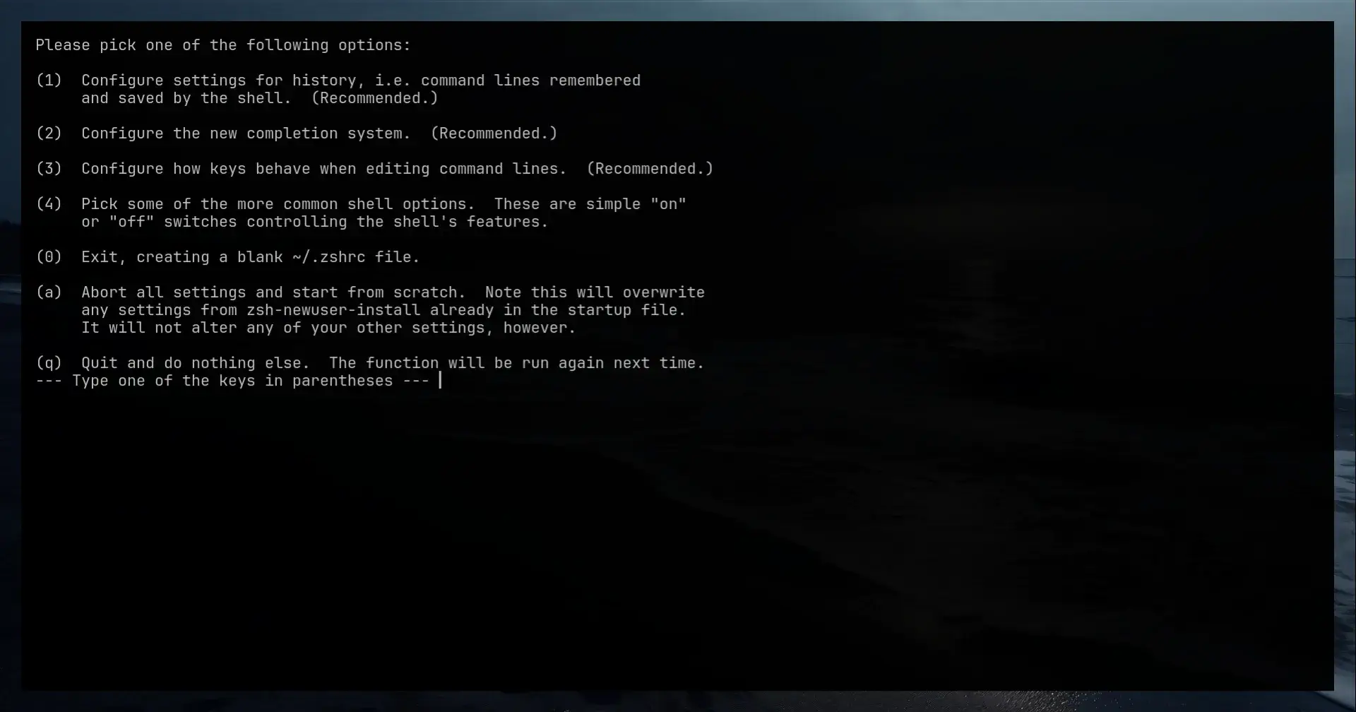 First screen zsh shell startup