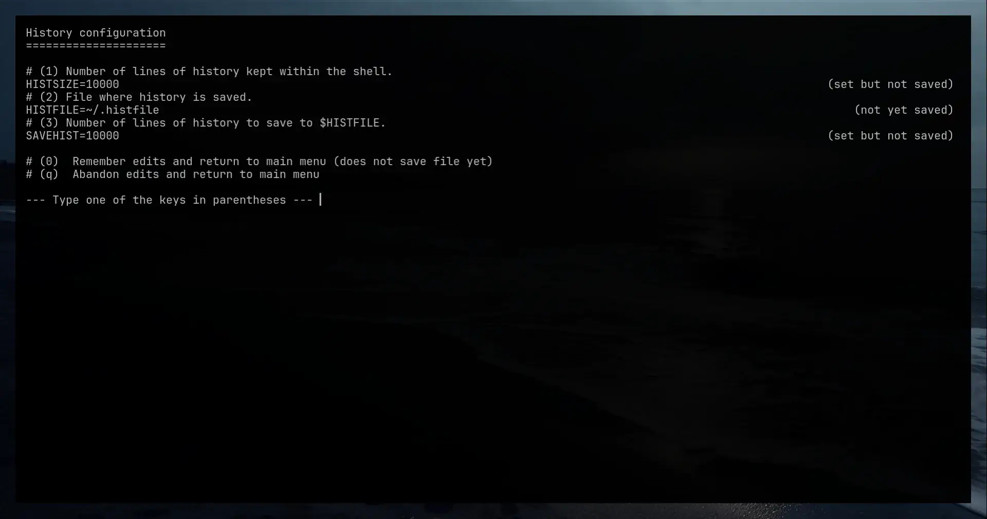 History screen zsh shell