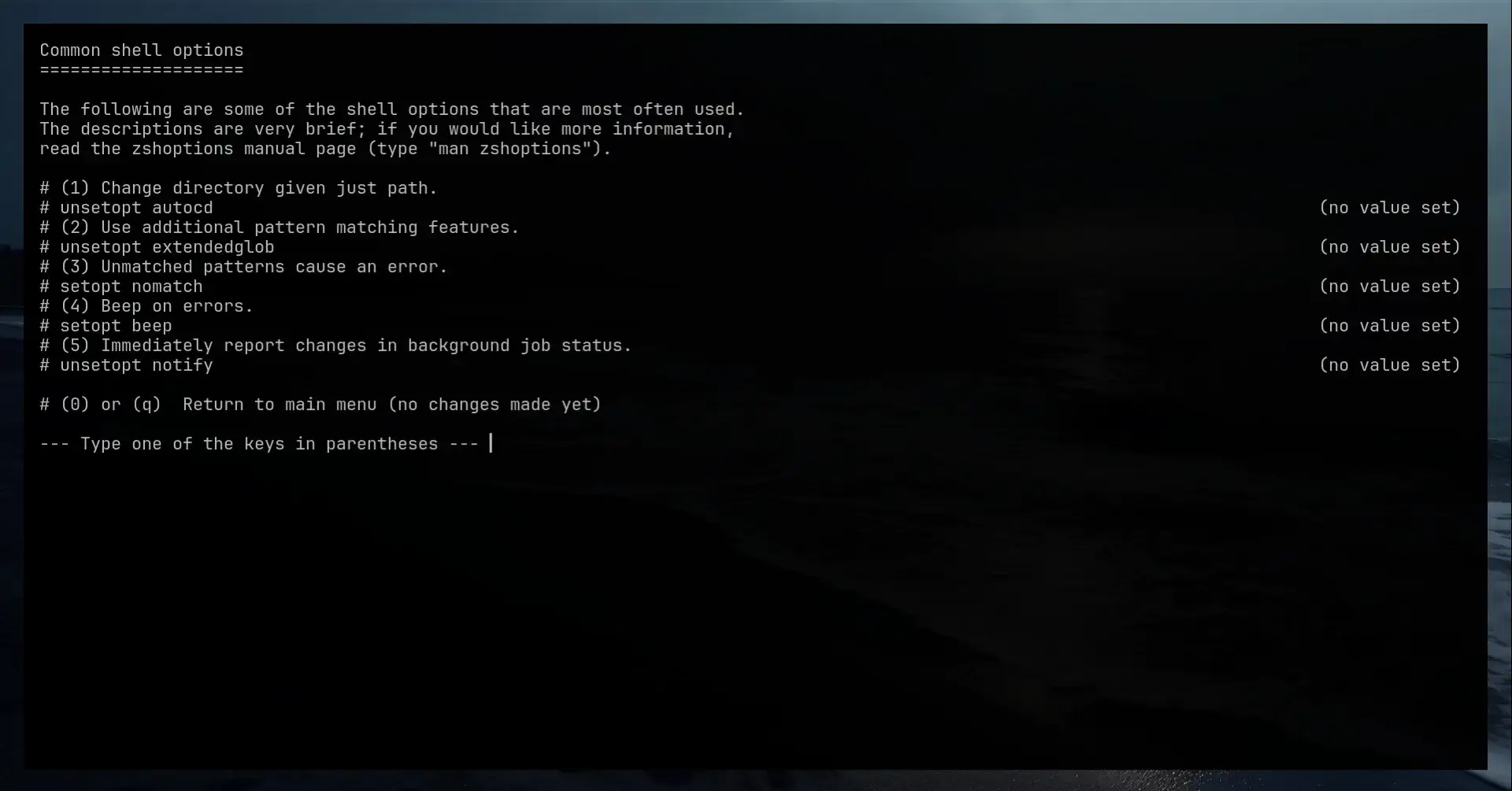 Autocompletions screen zsh shell
